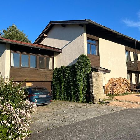 Апартаменты Haus Im Gruenen Зальфельден Экстерьер фото